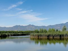 -野鸭湖国家湿地公园