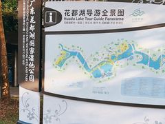 -广东花都湖国家湿地公园