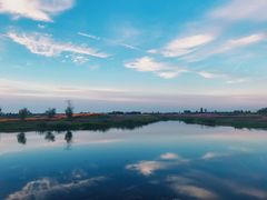 -洪湖湿地生态园