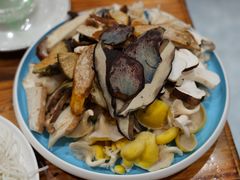 -菌之家·专业纯野生菌火锅·特色炒菌
