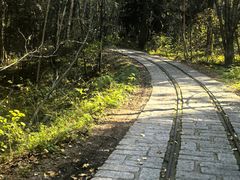 -五营红松林海景区