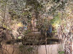 -贝菲特游泳健身(徐泾店)