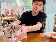 -猫小院猫主题餐厅(三里屯店)
