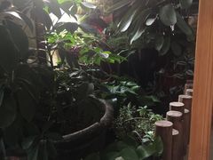 -北马山庄植趣咖啡