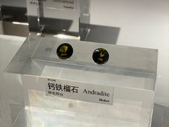 -中国地质博物馆