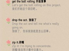 -引领英语·成人口语·雅思托福