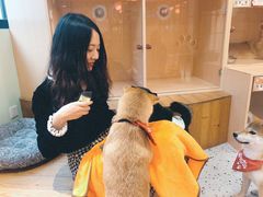 -逗柴咖啡屋·狗咖猫咖宠物桌游