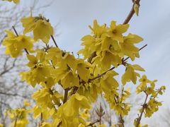 -永定河休闲森林公园