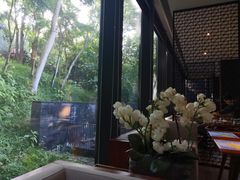 -七仙岭君澜度假酒店·桃源小馆中餐厅