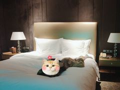 -北京朝阳悠唐皇冠假日酒店