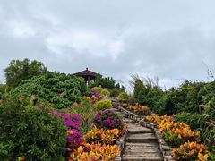 -东澳岛