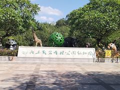-广东茂名森林公园