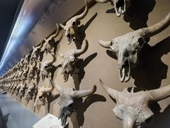 -大庆市博物馆