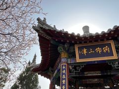 -桃花堤公园