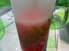 -Salud撒露欧洲冻酸奶(蓝色港湾店)
