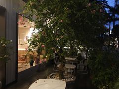 -花神·轻食简餐·咖啡馆·花卉绿植(荷兰花卉小镇店)