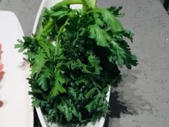 茼蒿菜-海底捞(Chatswood)