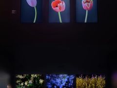 -上海当代艺术博物馆