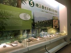 -辽宁古生物博物馆