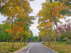 -广富林郊野公园