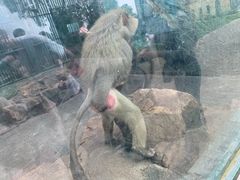 -无锡动物园·太湖欢乐园