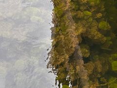 -苏州太湖湖滨国家湿地公园