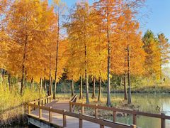 -梁鸿国家湿地公园