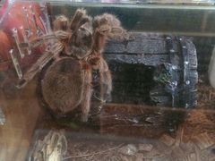 -Rabbit Cafe私房西餐甜点咖啡(栖霞路店)