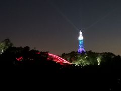 -金鸡山公园