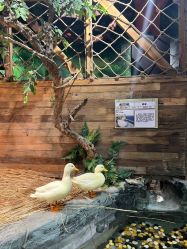 -Zoolung Zoolung动物主题公园(海信广场店)