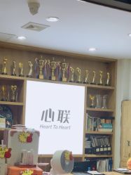 -心联形象设计·流星染