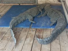 -渭南桃花源民俗文化园