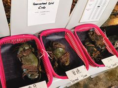 -龙海鲜螃蟹王(宏茂桥店)