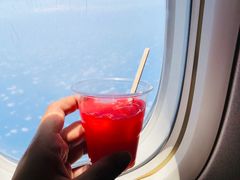 -新加坡航空公司(ION)
