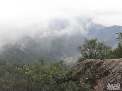 -王顺山国家森林公园