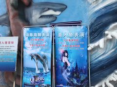 -石家庄极地海洋世界