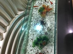 -果裹水汇(帅府店)