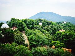 -紫金山天文台