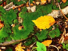 -丹东天桥沟景区