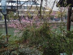 -成都市活水公园