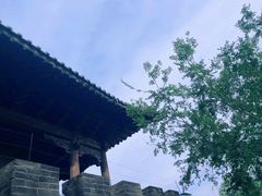 -爱新觉罗皇家博物院