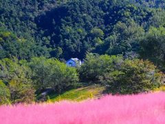 -万盛合(渔人码头店)