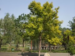 -东郊湿地公园