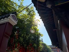 -武汉长春观