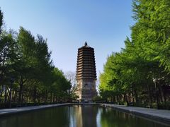 -玲珑塔公园