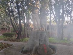 -瑞丽独树成林风景区