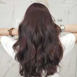 -潘多拉Hairsalon