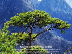 -大连天门山国家森林公园