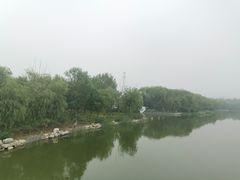 -大兴滨河森林公园