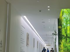 -极简口腔(总院)